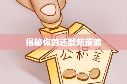 北镇揭秘你的还款新策略