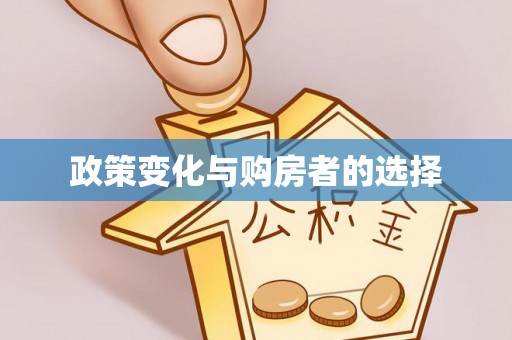 北镇政策变化与购房者的选择