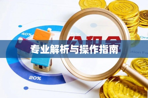 北镇专业解析与操作指南