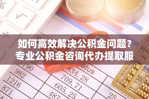 北镇如何高效解决公积金问题？专业公积金咨询代办提取服务来帮你