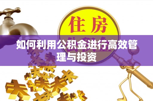 北镇如何利用公积金进行高效管理与投资